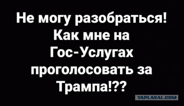 Похоже Трамп побеждает...