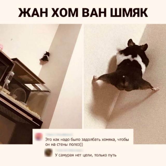Картинки и мемы для настроения 024