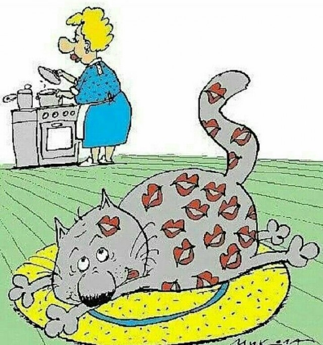 С котопятницей! Улыбнемся?