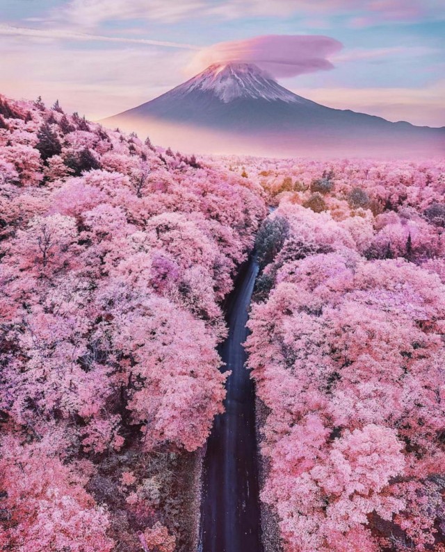 Красота фотографии