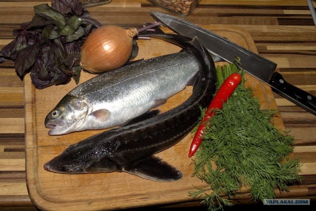 Все из рыбы!