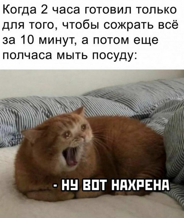 Картинки и мемы для настроения 09.06.2021