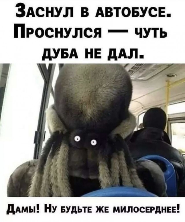 Картинки и мемы, всем прекрасных выходных