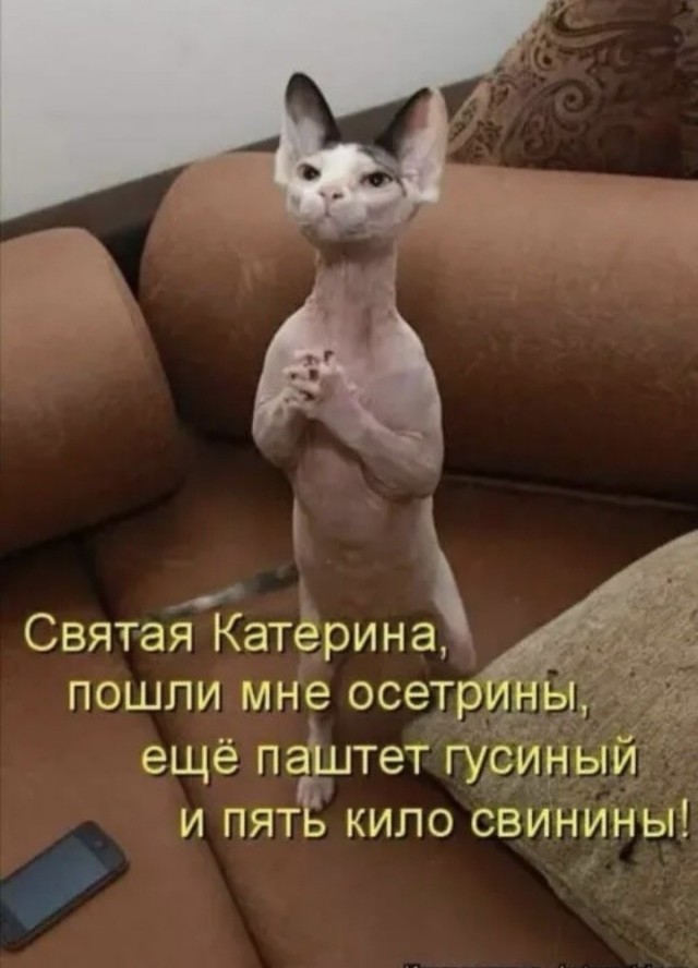 Картинки 12.09.21