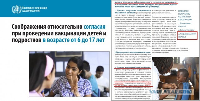 Зомби-апокалипсис 2022