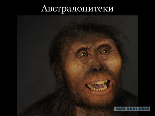 Мигранты на польско-бел. границе ломают ограждения и бросают в польских пограничников камни. В ответ летят светошумовые гранаты
