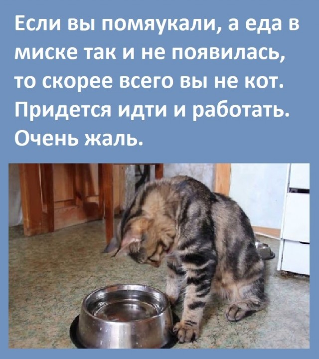 Чуток картинок 20.12.21