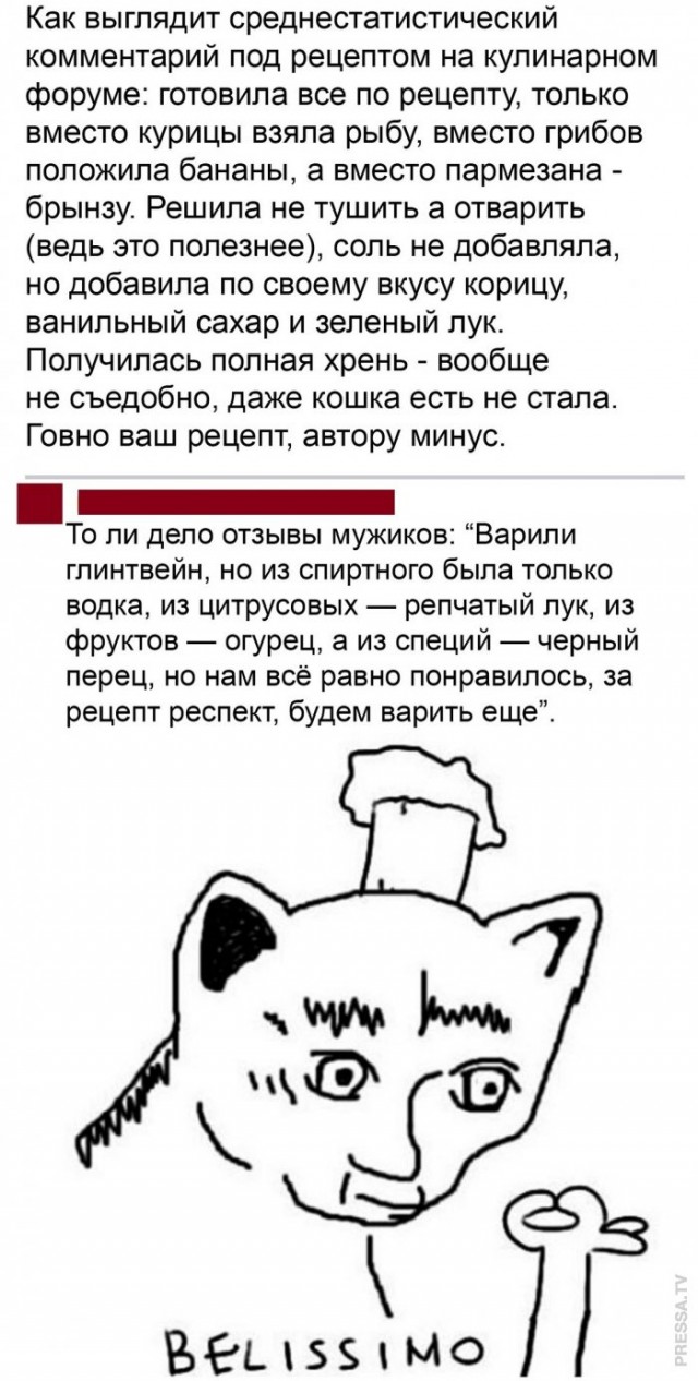 Кот белиссимо мем