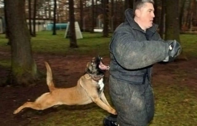 Это нужно развидеть: 14 забавных фото, которые обманут ваше зрение