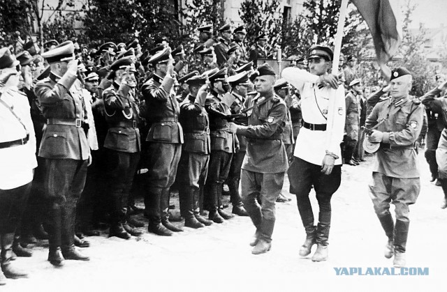 Благодарные жители Украины передают спасибо своим союзникам