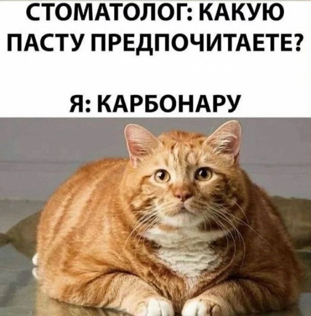 Среда пришла - неделя прошла, дорогие деграданты