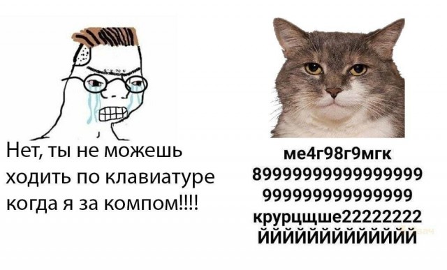 Пандемия съехавших крыш - разновидности болезни. Россия и мир. Часть 37