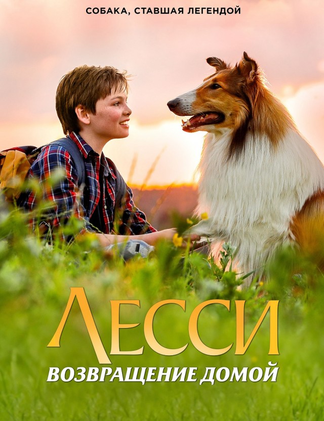 Собаки в кино