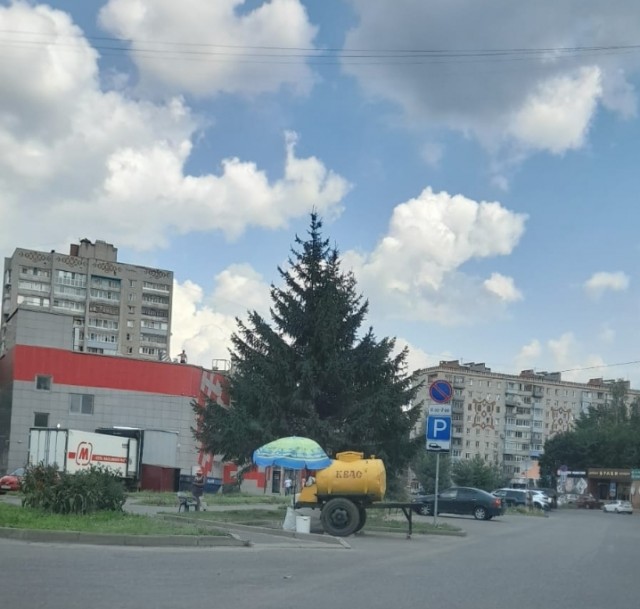 Что умеют современные девушки?