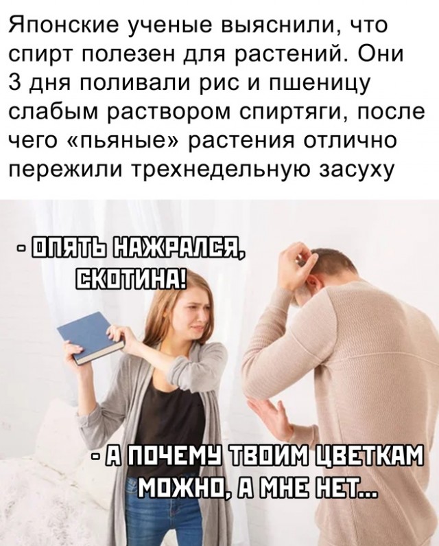 Немного картинок для настроения - 127