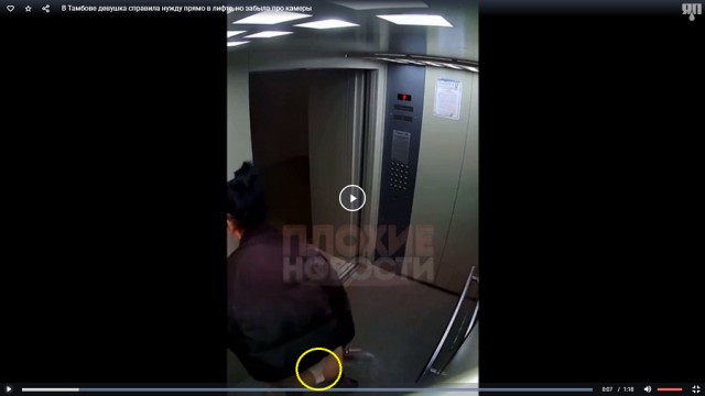 В Тамбове девушка справила нужду прямо в лифте, но забыла про камеры