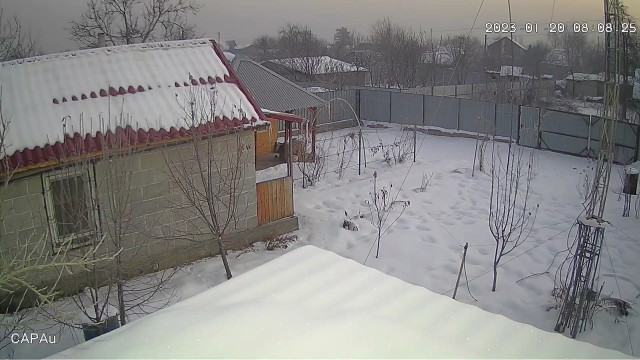 Дубак