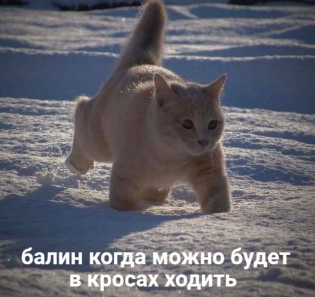 Так себе картинки 22.01.23