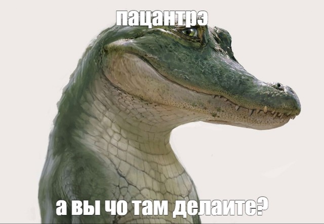 Юный азиатский блохгер
