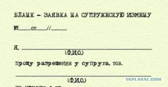 Проститутки в МФЦ? Да это же хорошо!