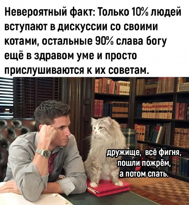 Картинки и мемы для настроения - 181