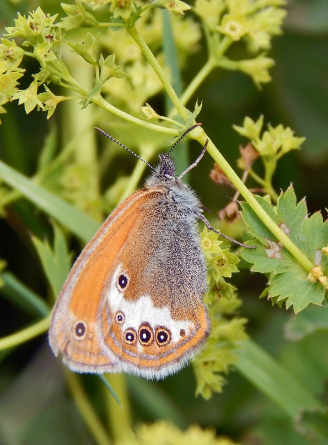 Уральское лето моими глазами