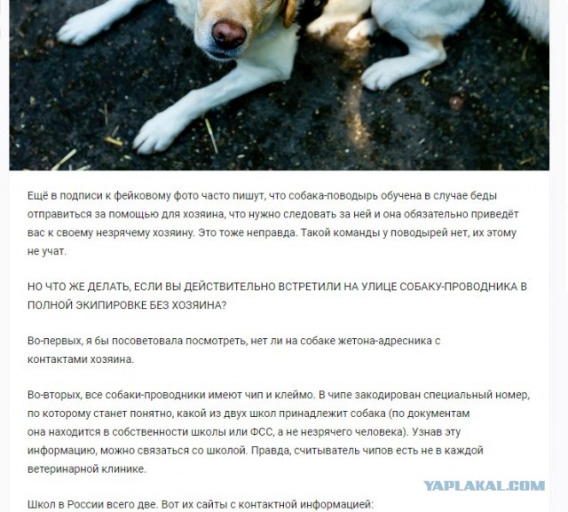 Запомните пожалуйста