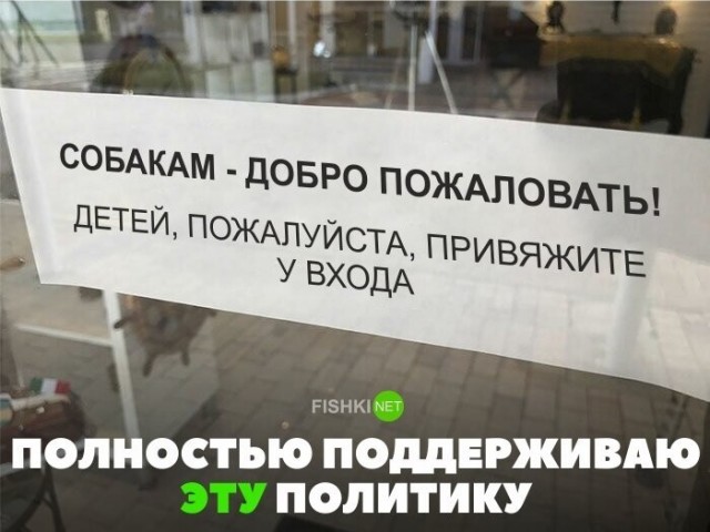 В Госдуме назвали мемы причиной детоненавистничества у молодёжи, которые «не видят проблемы в том, чтобы жить без детей»