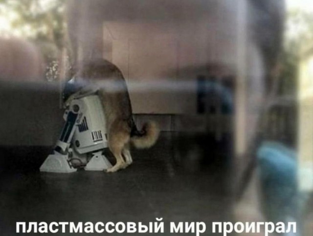 Тлидцать тли от 20 февлаля