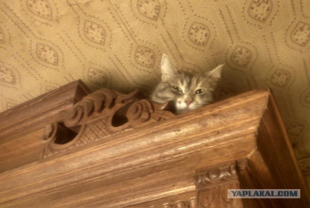 Сборник рассказов ЯПовских авторов. Обсуждение проблемы.