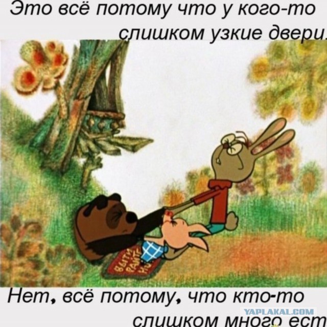Домик кролика из винни пуха картинки
