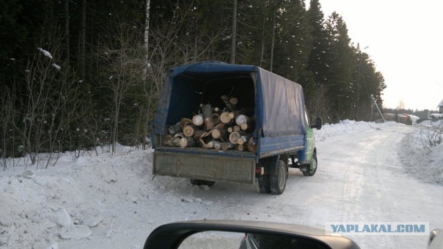 СтопХам 85 Геморрой