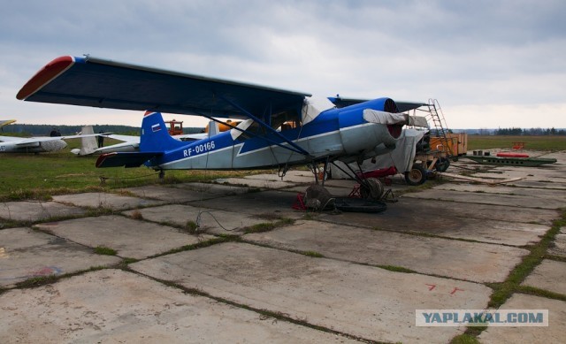 Cessna 172 – легкий одномоторный самолет, актуальный почти 70 лет