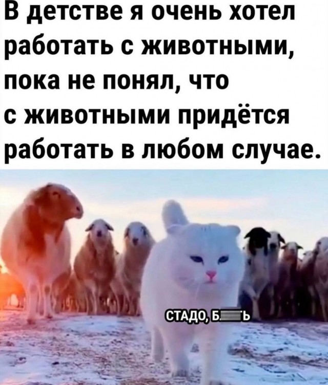 Всего понемногу. От 25.11.2024