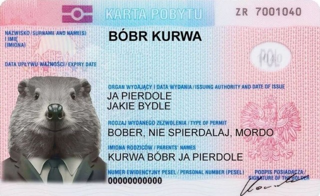 Bobber kurva, серия 19-ая