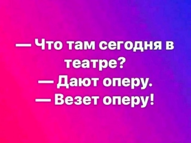 Весёлый полтишок 19.12.24