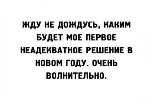 Весёлый полтишок 31.12.24
