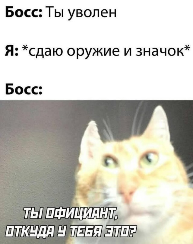 Завалялось тут случайно немного забавных картинок