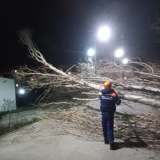 Ветер с моря дул.