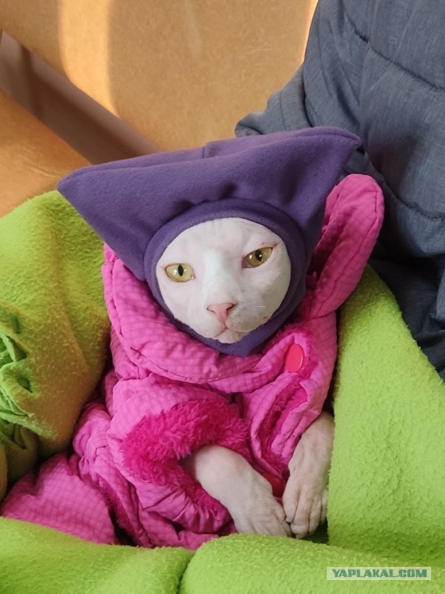 Это не меня заперли с вами, это вас заперли со мной