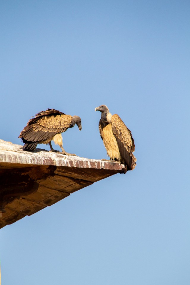 Бутан, таинственный Бутан