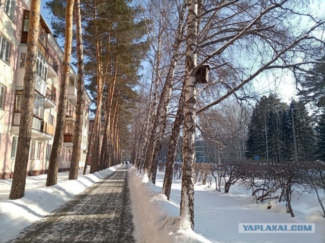 Деревенская Америка - 10