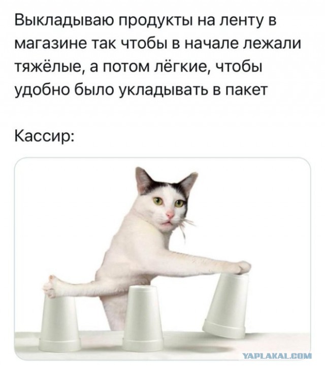 Картинки для деградации 43 (разной степени свежести)