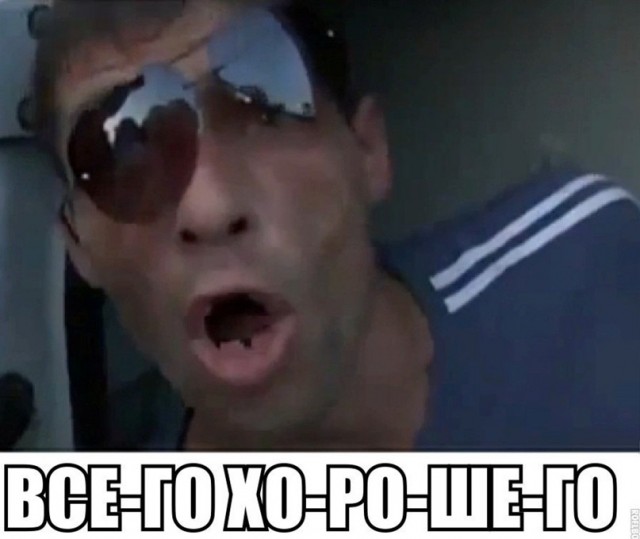Почти 5 тысяч мигрантов выдворят из России после масштабной спецоперации в Подмосковье