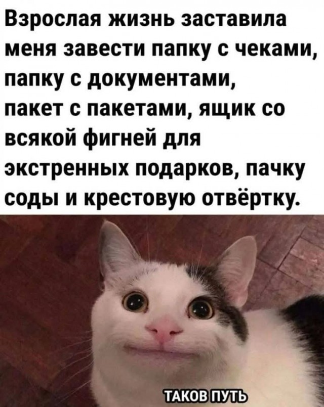 Маленькая пятница 11.11