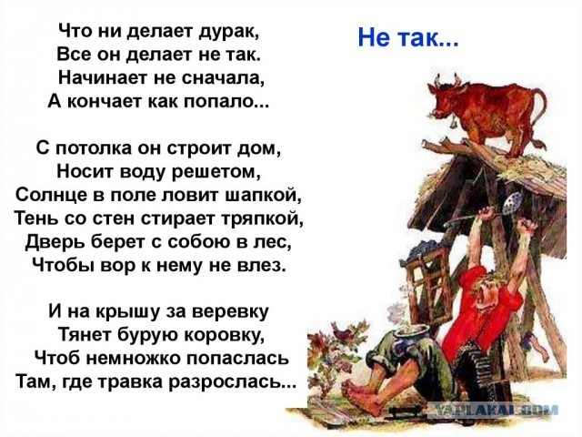 Победили не мошенников, а простых россиян?