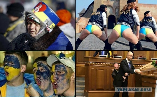Верховная Рада проголосовала за лишение русского языка защиты согласно Европейской Хартии.