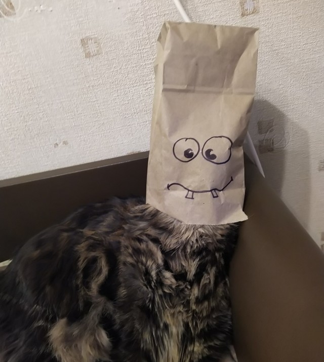Когда раб с фантазией