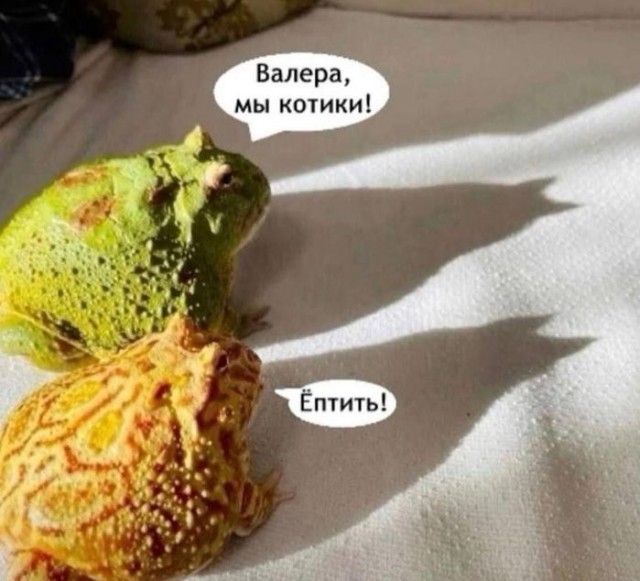 Картинки для деградации 132 (разной степени свежести)