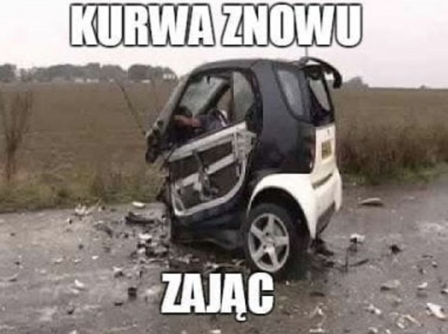 Субботние картинки